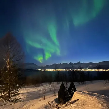 Sentral Og Koselig 1-rom Studioleilighet Med Stort Badevaerelse *