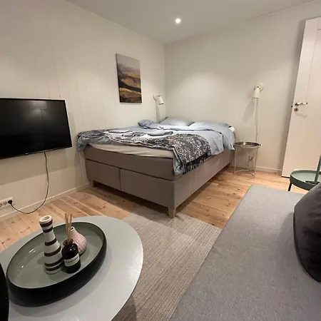 Appartamento Sentral Og Koselig 1-rom Studioleilighet Med Stort Badevaerelse *