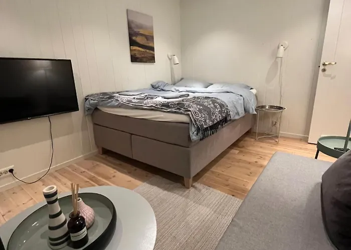 Leilighet Sentral Og Koselig 1-rom Studioleilighet Med Stort Badeværelse *